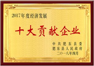 熱烈慶祝安徽皖信人力資源管理榮獲肥東縣經(jīng)濟(jì)發(fā)展大會(huì)雙項(xiàng)獎(jiǎng)，樹(shù)立人力資源服務(wù)新標(biāo)桿